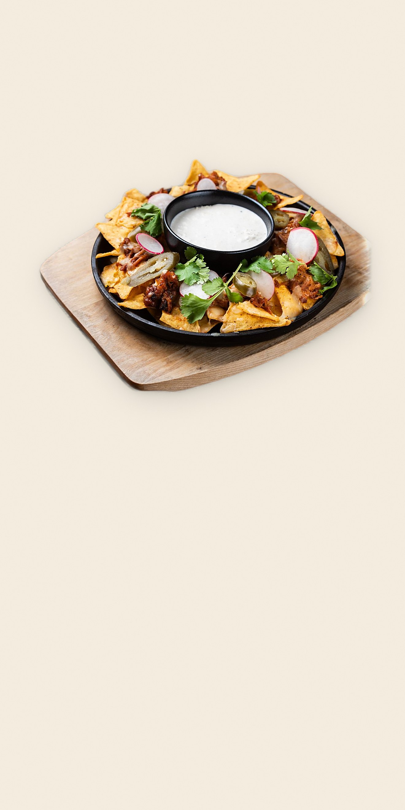 Nachos Cerdo